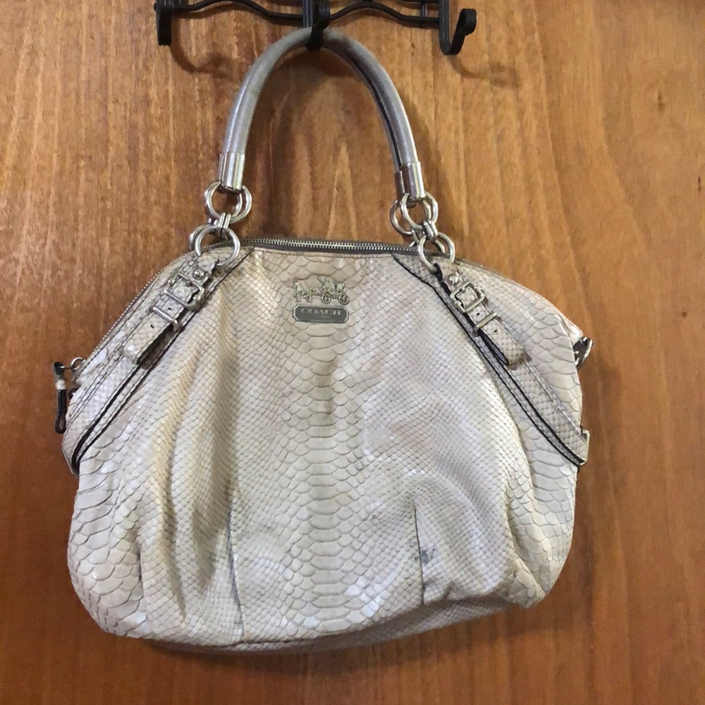 snakeskin purse